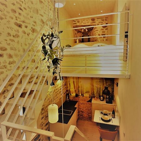 Au Vingtain - Appartement & Spa Atypique Brindas Ngoại thất bức ảnh